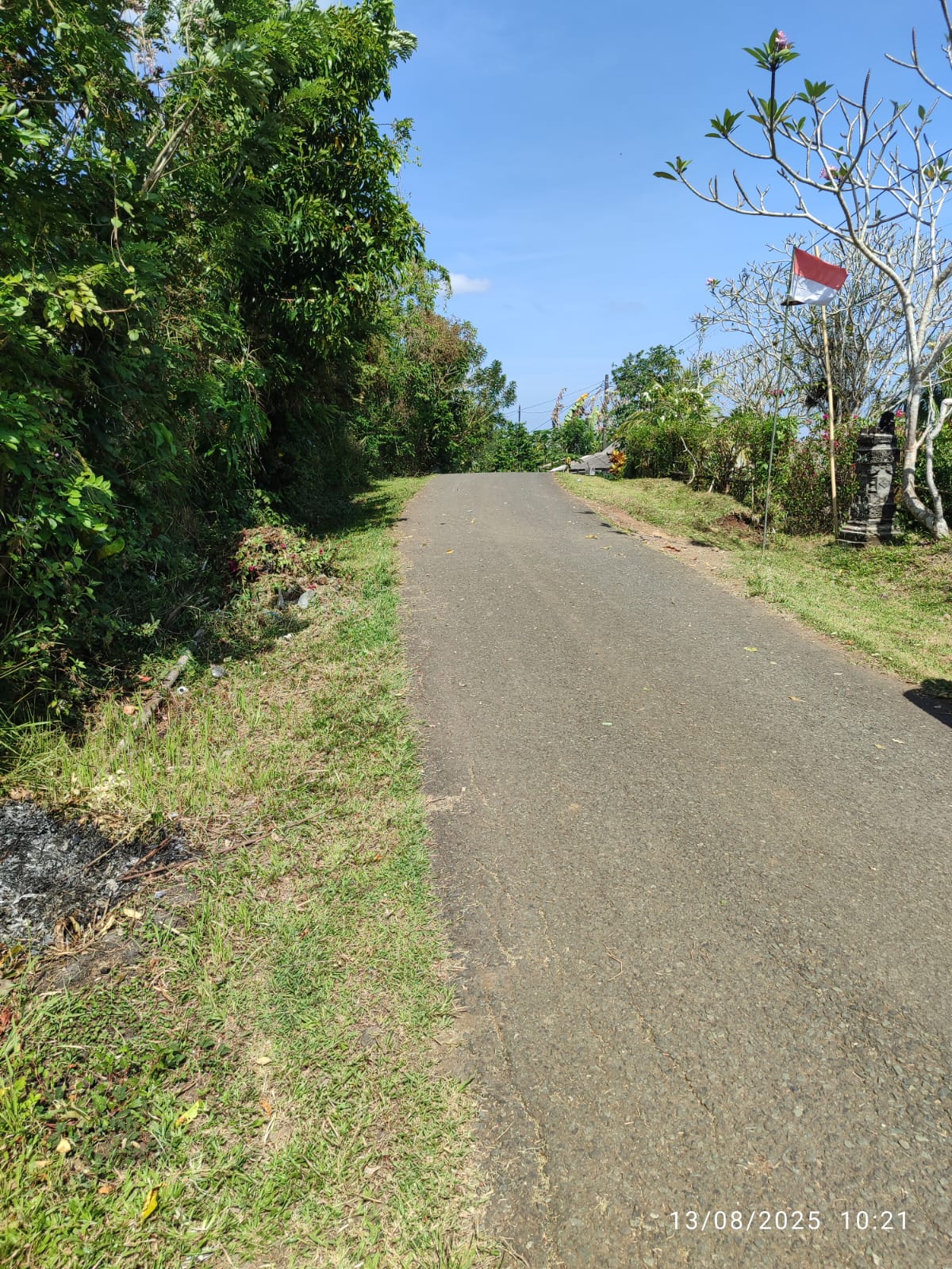 Tanah Lahan Kebun Manistutu, Jembrana di Jembrana, Bali